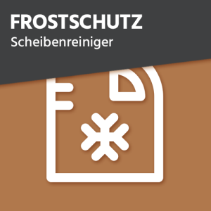 Scheibenreiniger